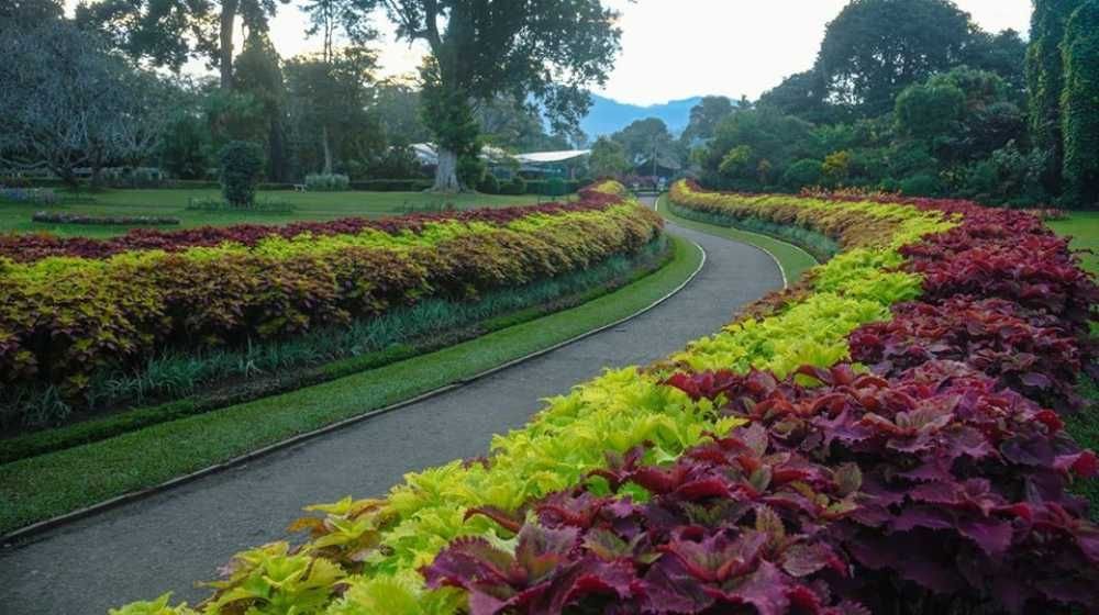 Royal Botanical Gardens
